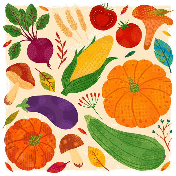 Bundle of autumn vegetables: pumpkins,mushrooms,eggplant,zucchini,tomatoes,corn,beetroot.Collection of seasonal farm products.Healthy nutrition.Agricultural fair.Harvest season. - Vector, Imagen