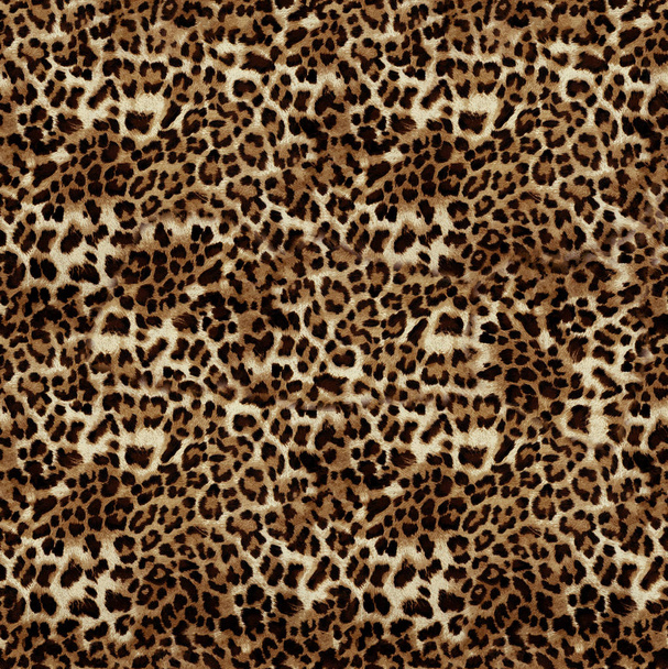 flower pattern animal skin leopard tiger zebra gold gold chain background texture plaid geometric pattern black white leaf palm leaf color wallpaper jeans texture stone illistration pam tropical leafs - Photo, Image