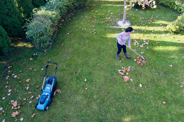 Mujer rastrillando hojas y recortando césped
 - Foto, imagen