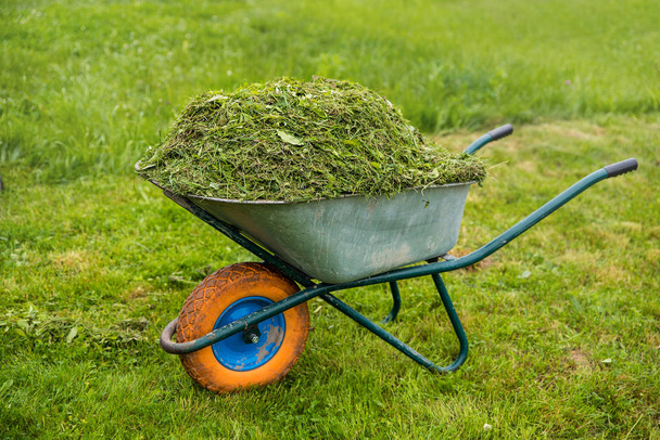 Kolečko plné trávy. Zahradní a zahradní péče téma. Oblast pečovatelských služeb - Fotografie, Obrázek