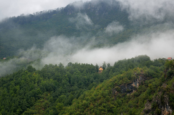モンテネグロのデュルモーター国立公園の山の谷、森、タラ川渓谷 - 写真・画像