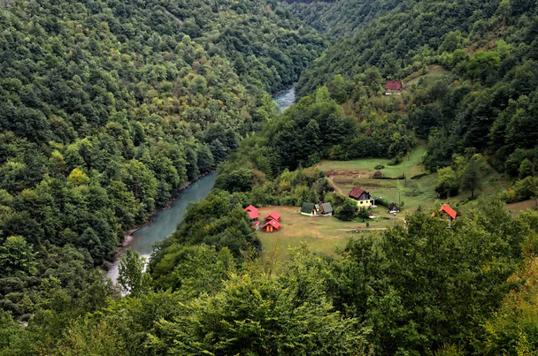 górska dolina, las, kanion rzeki Tara w Parku Narodowym Durmitor, Czarnogóra - Zdjęcie, obraz