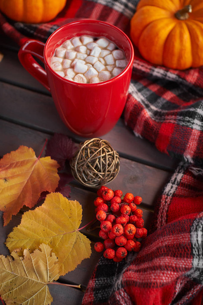 Red cup of cocoa with marshmallow, decorative pumpkin. Autumn mood, warming drink. Cozy atmosphere - Photo, Image