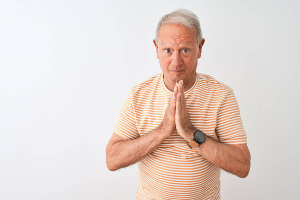 Hombre mayor de pelo gris con camiseta a rayas de pie sobre fondo blanco aislado rezando con las manos juntas pidiendo perdón sonriendo confiado
. - Foto, imagen