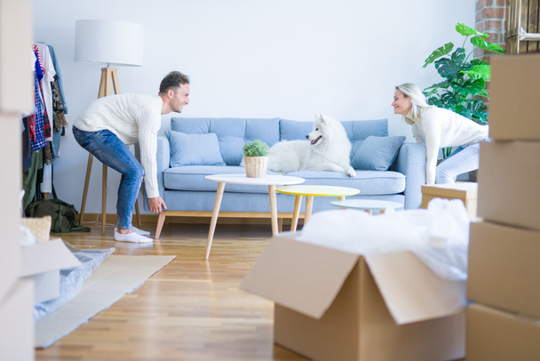 Young beautiful couple with animal moving sofa at new home around cardboard boxes - Photo, Image