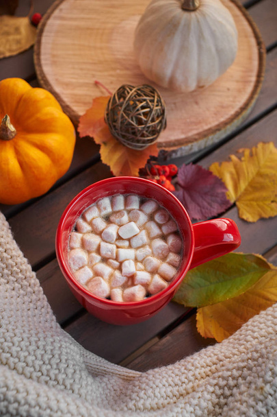 Czerwona filiżanka kakao z pianką, dekoracyjna dynia. Jesienny nastrój, ciepły napój. Przytulny klimat - Zdjęcie, obraz