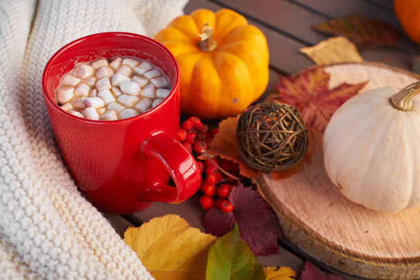 rote Tasse Kakao mit Eibisch, Zierkürbis. Herbststimmung, wärmendes Getränk. Gemütliche Atmosphäre - Foto, Bild