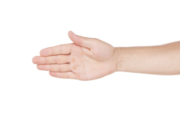 Man's hand (palm) - Foto, imagen