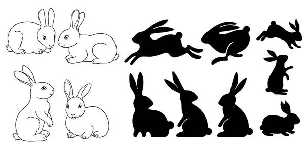 Набір кроликів ізольовано на білому тлі
 - Вектор, зображення
