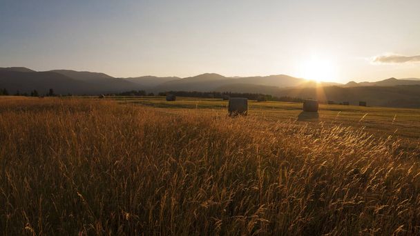 Hay bales at sunrise, meadow and silhouette of beautiful hills in background - Photo, Image