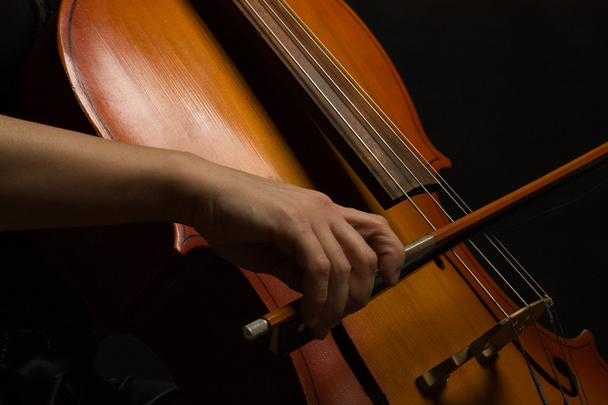Primer plano músico manos con violonchelo
 - Foto, Imagen