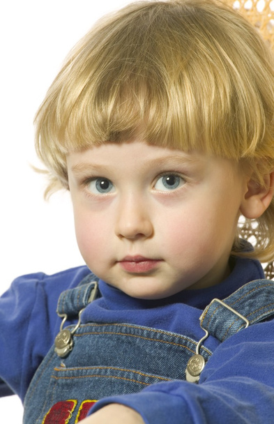 Portrait Of Little Blond Boy - Фото, изображение