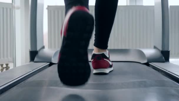 noha osoba jít na běžecký pás ve fitness klubu - Záběry, video