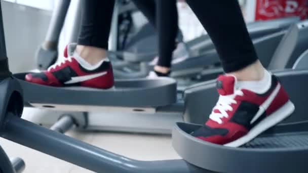 people performs exercise on Elliptical trainers in sports Complex - Záběry, video