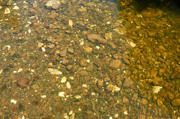 Ρηχός βυθός ποταμού - Φωτογραφία, εικόνα