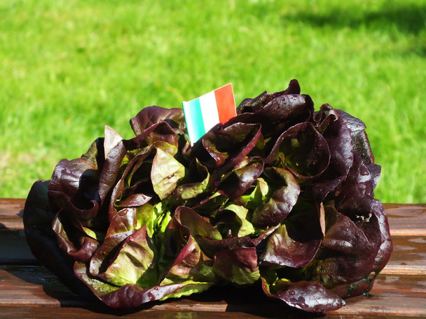 Зеленый салат
 - Фото, изображение