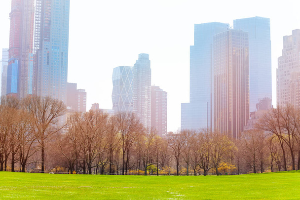 Fresh spring grass lawn in New York and town buildings on background - Foto, afbeelding