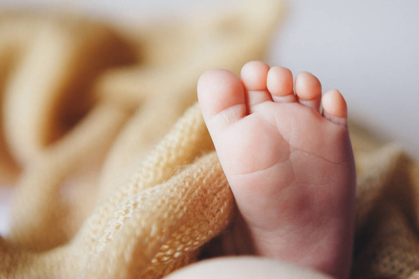 Baby's feet, fingers close up. newborn baby legs, massage concept of childhood, health care, IVF, hygiene - Foto, afbeelding