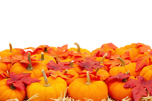 Помаранчеві гарбузи з осіннім листям на фоні солом'яного сіна ізольовані
 - Фото, зображення