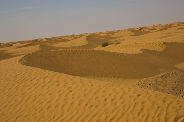 Жовта і гарна дюна піску в пустелі Тунісу.. - Фото, зображення