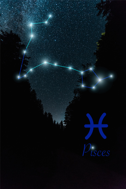 dark landscape with night starry sky and Pisces constellation - Photo, Image