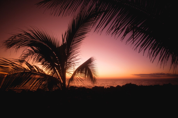 Pôr do sol tropical romântico
 - Foto, Imagem
