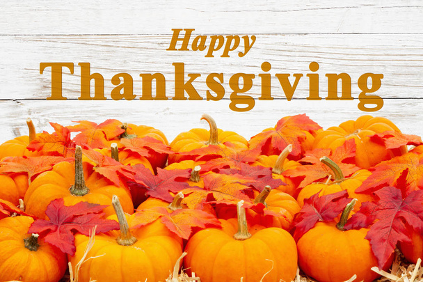 Feliz saludo de Acción de Gracias con calabazas naranjas con licencia de otoño
 - Foto, imagen