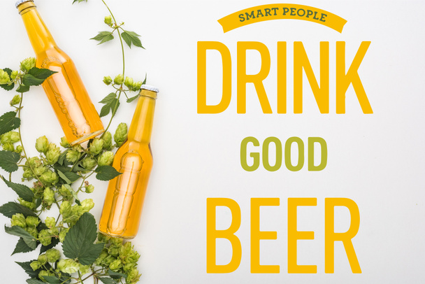 top view of beer in bottles with green hop on white background with smart people drink good beer illustration - 写真・画像