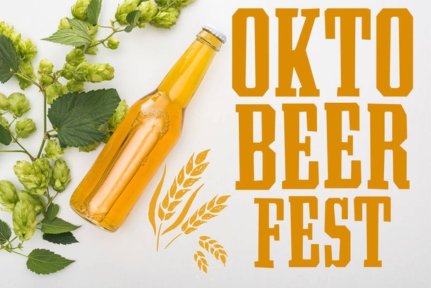 top view of beer in bottle with green blooming hop on white background with Oktoberfest lettering - Photo, Image