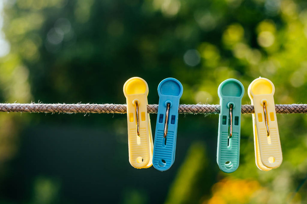barevné plastové clothespins - Fotografie, Obrázek