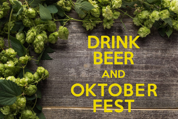 top view of green blooming hop on wooden table with drink beer and Oktoberfest lettering - Foto, Imagem