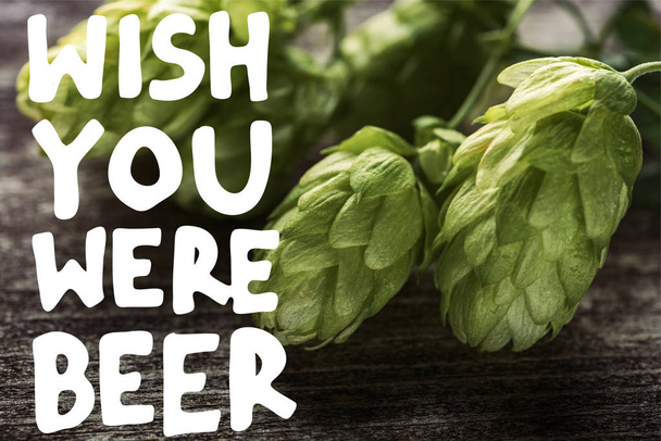 close up view of green hop on wooden table with wish you were beer illustration - Zdjęcie, obraz