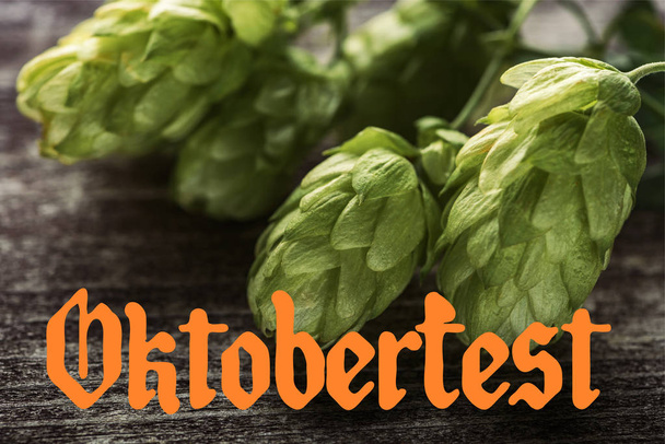close up view of green hop on wooden table with orange Oktoberfest lettering - Photo, image