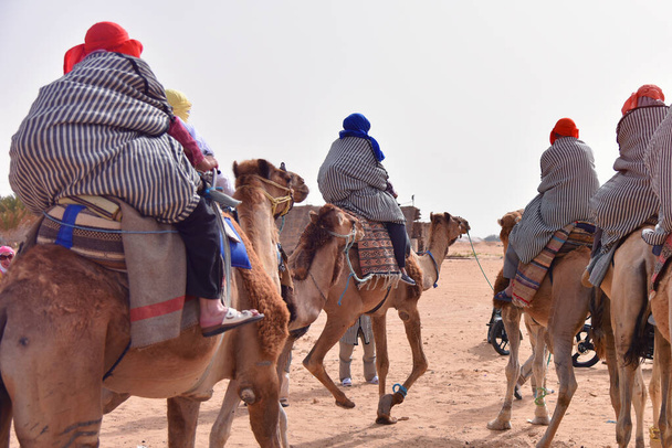 アフリカ、チュニジアのサハラ砂漠に行くラクダのキャラバン。トゥーリス - 写真・画像