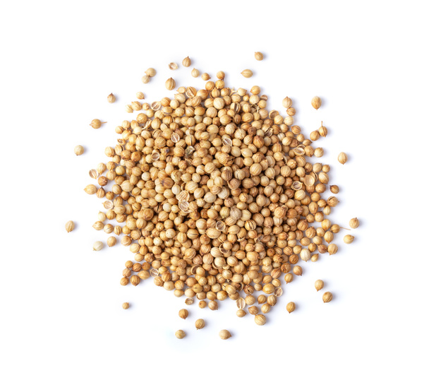 Coriander seeds isolated on white background. top view - Photo, Image