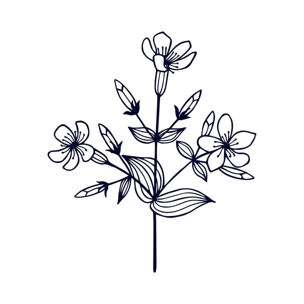 simple banner with flowers, vector illustration - Вектор,изображение
