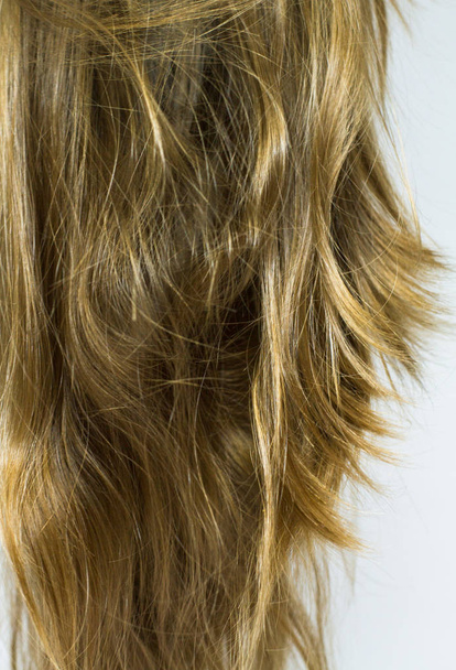 Healthy Blond Hair close-up view  - Photo, Image