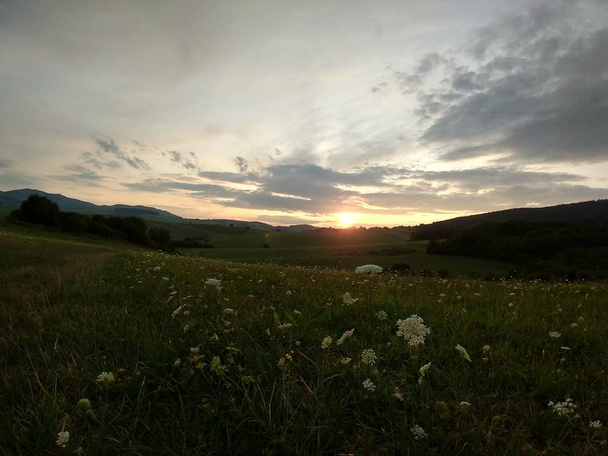 summer landscape and sunset on   background - Valokuva, kuva
