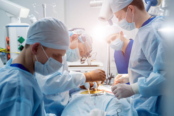Spinal surgery. Group of surgeons in operating room with surgery equipment. Laminectomy. Modern medical background - Photo, image