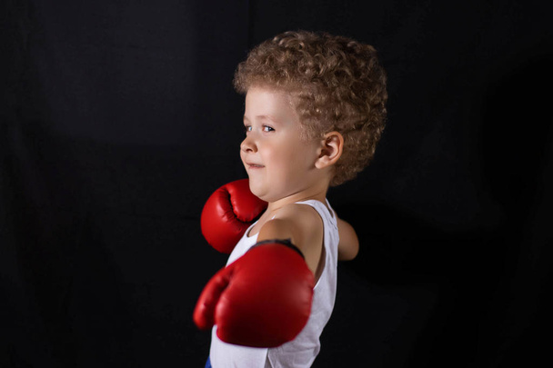 Little boy in red boxing gloves on a black background. Sports, children's boxing. - Fotografie, Obrázek