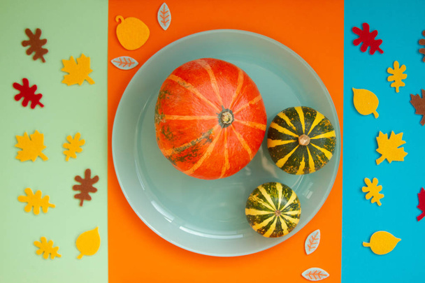 Декоративные красивые яркие тыквы на бумажном фоне трех цветов - оранжевого, синего и зеленого. Бумага срезает осенние листья вокруг тарелки с тыквой
. - Фото, изображение