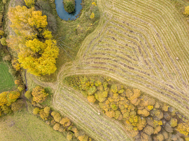 countryside view from above in Latvia with cultivated fields and - Photo, Image