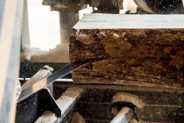 Modern sawmill. Industry sawing boards from logs - Fotó, kép