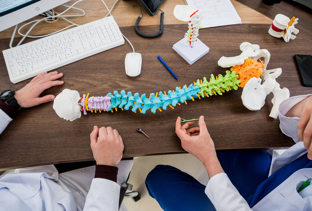 Doctor show polyaxial screw on the spine model. Spine fixation systems. Spinal surgery - Photo, Image