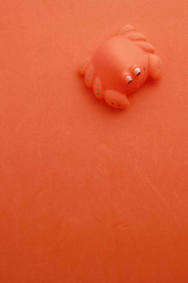 child toy for crab shaped bathtub - Photo, Image