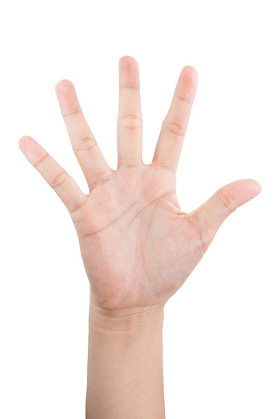 различные жесты и знак руки женщины изолированы на белом фоне с обрезкой пути
. - Фото, изображение