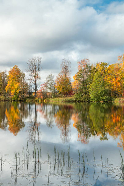 京城川の水の美しい秋の朝の風景。フィンランド, Kymenlaakso, Kovola - 写真・画像