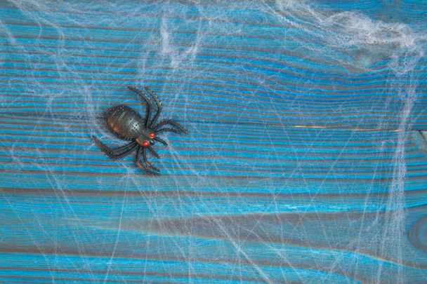 Örümcek ağda oturuyor. Cadılar Bayramı için kompozisyon. Bir örümcek ağı ahşap bir arka planda gerilmiştir. - Fotoğraf, Görsel