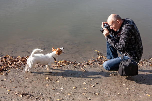 Curioso cucciolo Jack Russell Terrier abbaia al fotografo
 - Foto, immagini