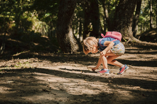 Маленька блондинка збирає жолуді з землі в лісі
 - Фото, зображення
